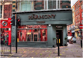 Sex boutique Harmony in Central London