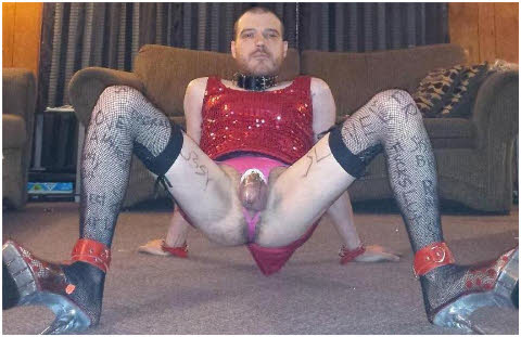 Cross-dressing faggot Shaun spreads his stocking-clad thighs Cross-dressing faggot Shaun spreads his stocking-clad thighs